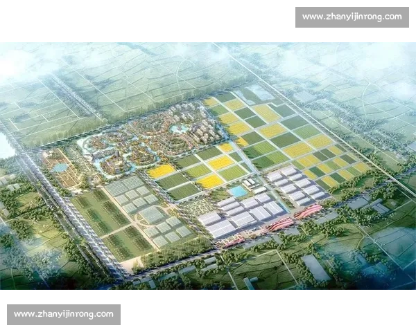 以比赛为核心推动力探索未来竞技文化的多元发展与创新路径